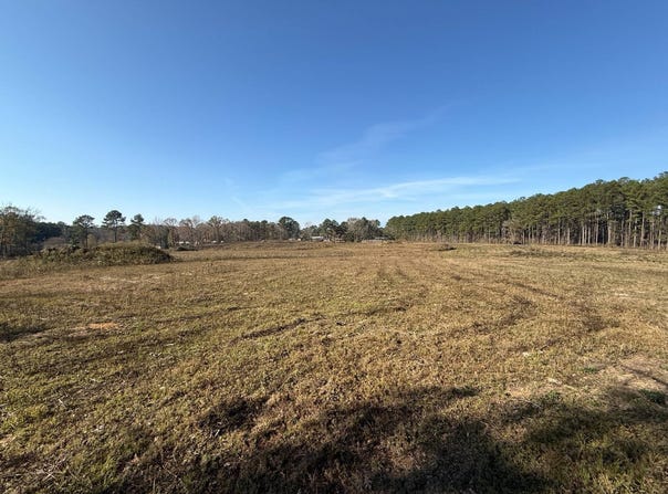 159 D B Williamson Rd # B, Louisville, MS 39339