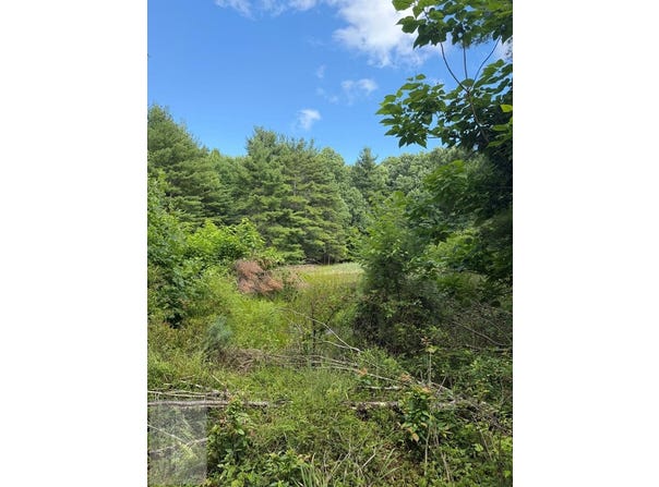 Cornbread Ridge, PRINCETON, WV 24739