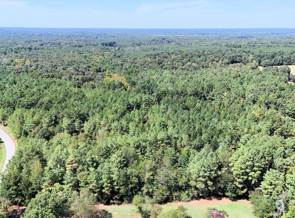 Mount Pleasant Road, Beech Bluff, TN 38313