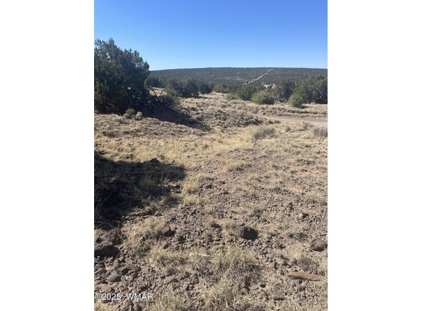 87 Lexington, Concho, AZ 85924