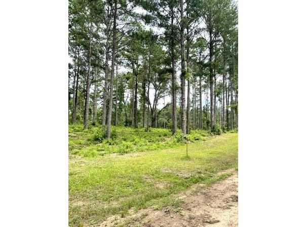 002 Carpenter St., Jena LA, LA 71342