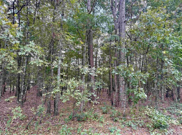 Ellen lot: 5, Higden, AR 72067