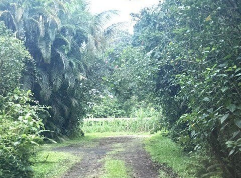 HAWAII ST, Pahoa, HI 96778