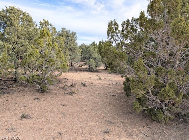 Side Hill Pass lot: 1-C, Pioche, NV 89043