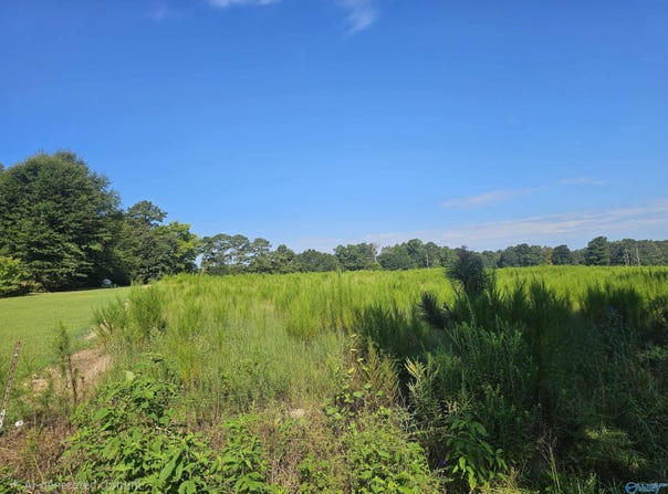 23 Bridge Road, Arab, AL 35016