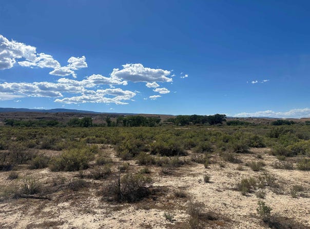 523 Desert Road, Whitewater, CO 81527