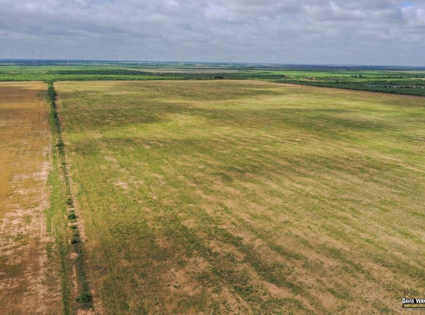 Tbd Fm 2877, Foard, TX 79227