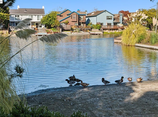 169 Diapian Bay, Alameda, CA 94502