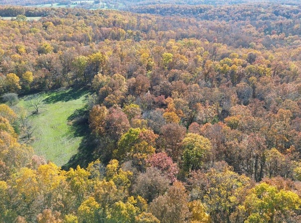 Kelsay Rd, Hartville, MO 65667