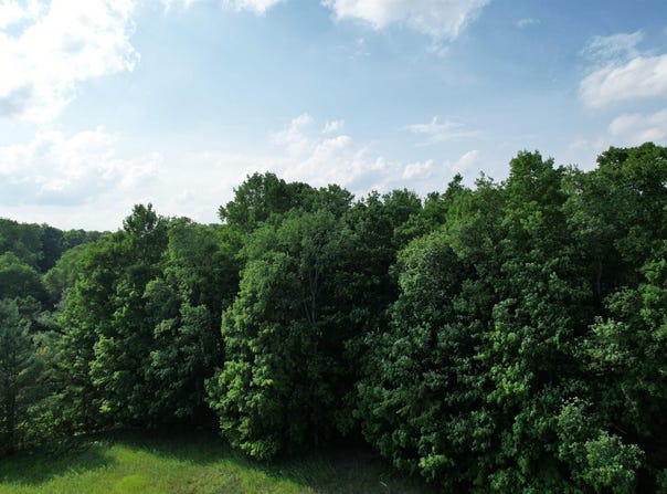 33 W 20 Road, Mesick, MI 49668