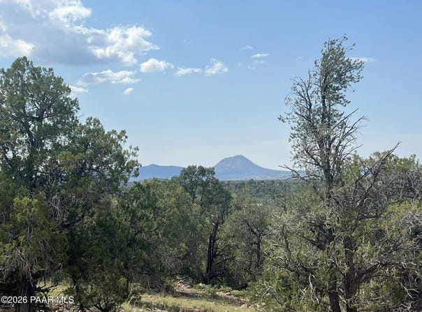 276 Of Cathedral Valley Road, Ash Fork, AZ 86320