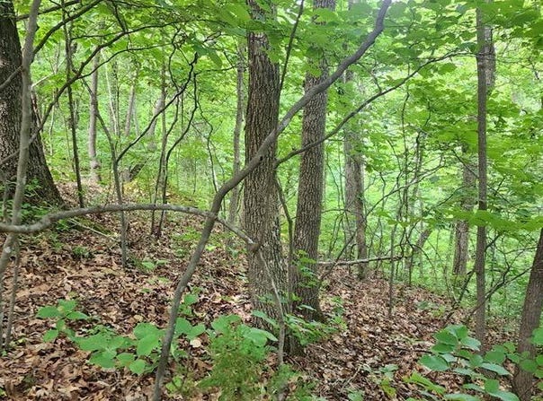 ID22 Lakeview Trail, HOLLADAY, TN 38341