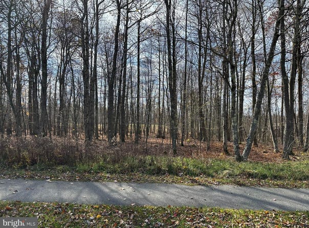 60 SUNDANCE Way, MC HENRY, MD 21541