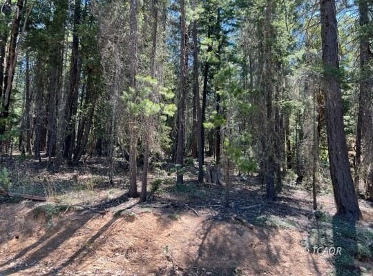 1311 Pine Forest Rd, Hayfork, CA 96041