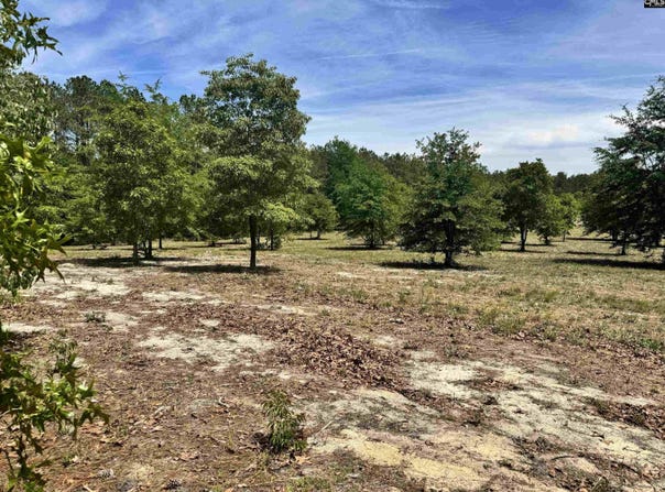 1345 Cheraw Rd, Cassatt, SC 29032
