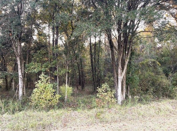 NW 145TH AVE LOT 25, WILLISTON, FL 32696