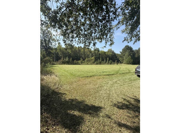 Clement Rd, Leighton, AL 35646