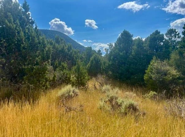 2102 S High Cedar View, Cedar City, UT 84720