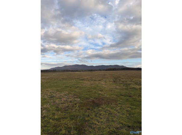 COUNTY ROAD 32 lot: 50, PIEDMONT, AL 36272
