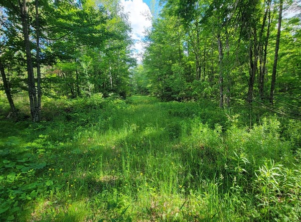 ON HUNTING RIVER RD, Elcho, WI 54428
