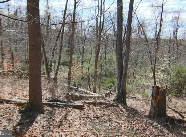 S FORGE ROAD, PALMYRA, PA 17078