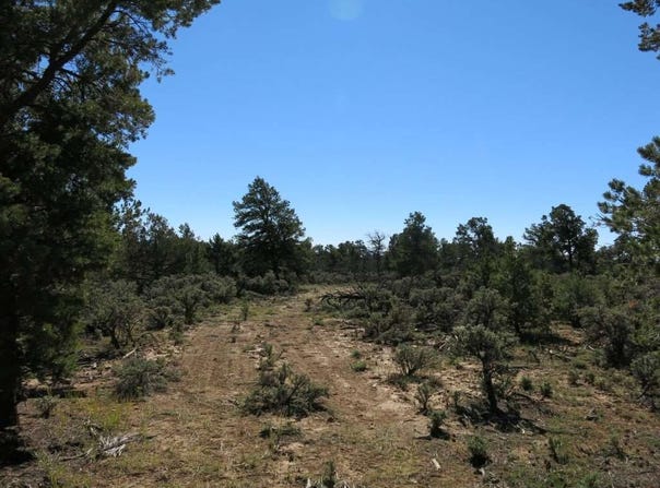 Servilleta Lot 38, Tres Piedras, NM 87577