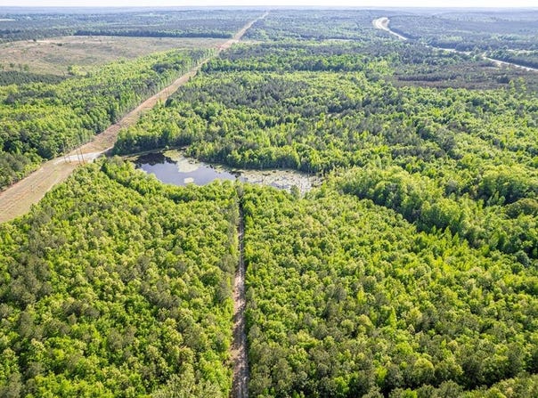21701 Highway 441, McIntyre, GA 31054