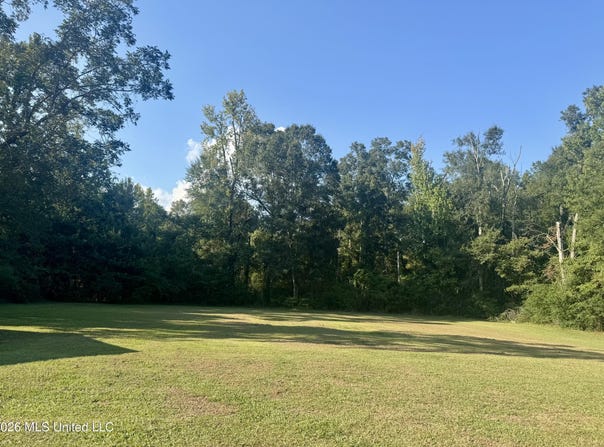 308 Kramer Avenue, Magnolia, MS 39652