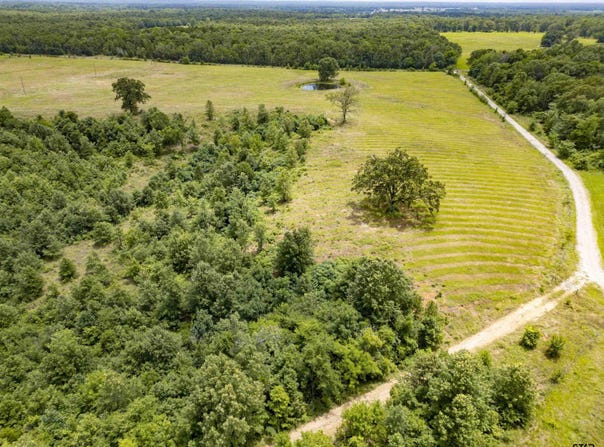 CR 1915, Mt Pleasant, TX 75455