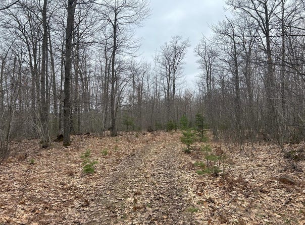 153 Acre, Negaunee, MI 49866