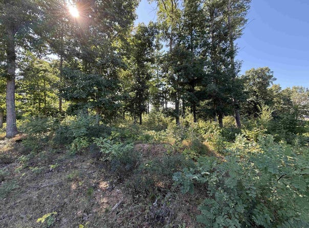 1005 JEREMY COURT lot: 16 Sherman Place, Stevens Point, WI 54481