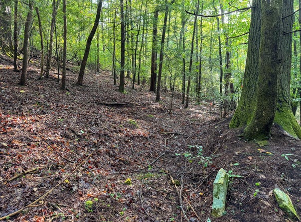 Tall Tree Trail lot: 412, Dunlap, TN 37327