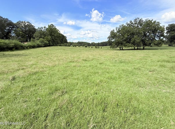 Tbd 1 Montgomery Road, Bogue Chitto, MS 39629
