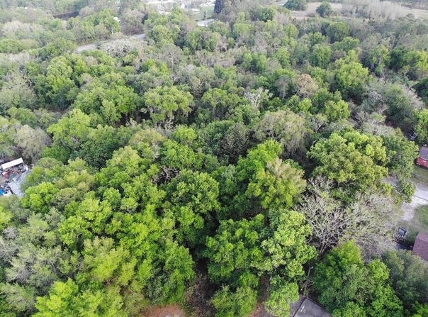 2156 OLD HICKORY TREE Road, ST CLOUD, FL 34772