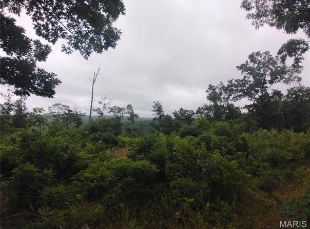 Tract 12, Belleview, MO 63623