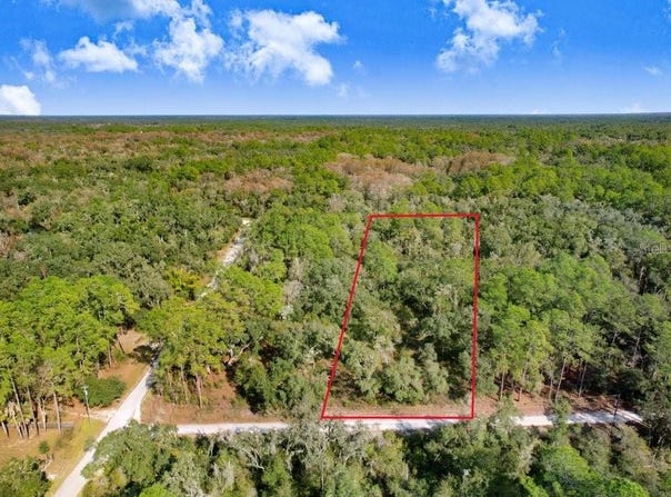 7292 SONIA Avenue, WEBSTER, FL 33597