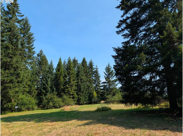 49241 MOUNTAIN VIEW Rd, Oakridge, OR 97463
