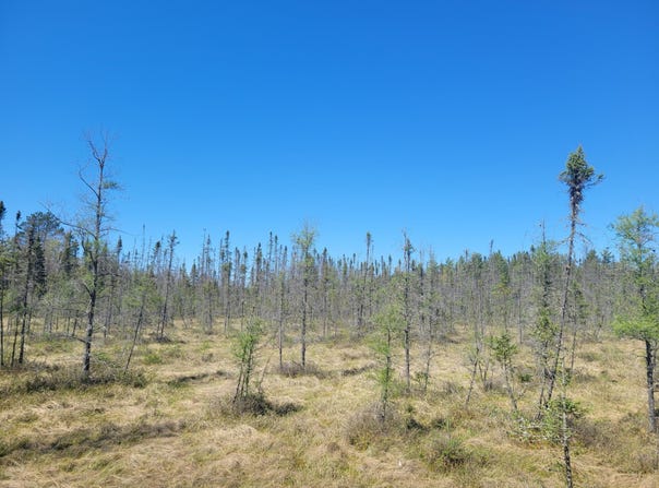 ON CTH G, Eagle River, WI 54521