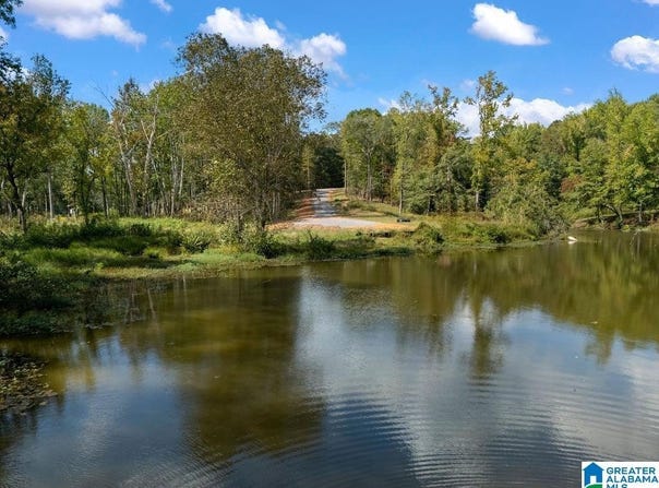 378 MULBERRY HOLLOW lot: 12, CORDOVA, AL 35550