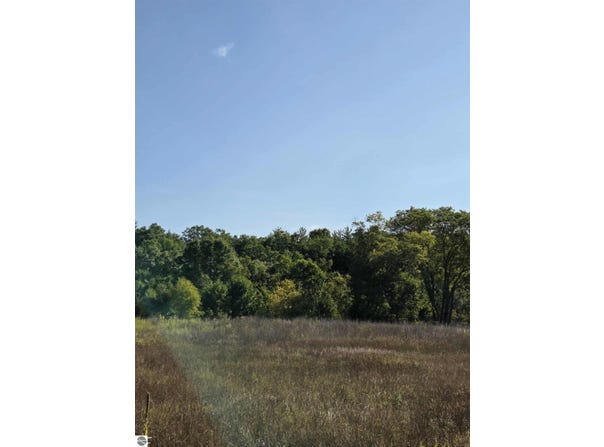 Runyan Lane, Hale, MI 48739