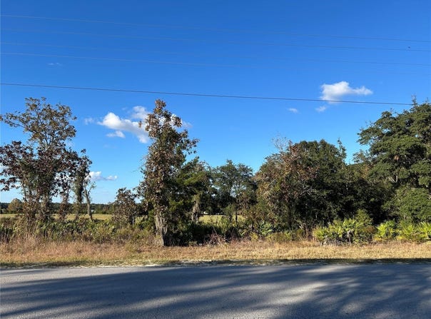NE 69TH Lane, WILLISTON, FL 32696