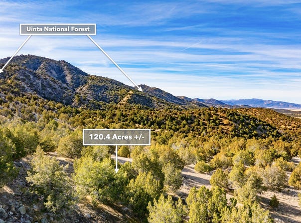 COUNTY ROAD 28, Levan, UT 84639