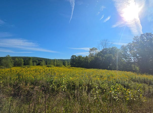 2WP State Hwy 41, Afton, NY 13730