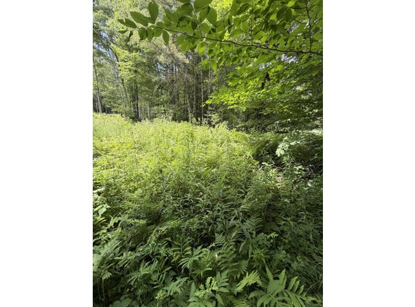 100 Ledge Road, Lisbon, NH 03585
