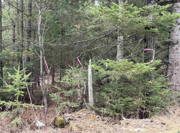 XXX A Locust Rd, Duluth, MN 55803