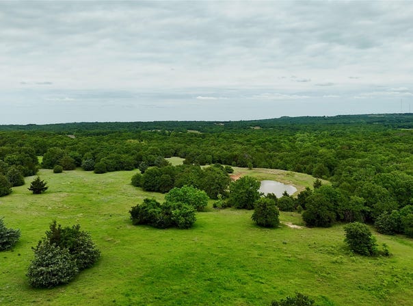 Big Tree Road, Montague, TX 76251