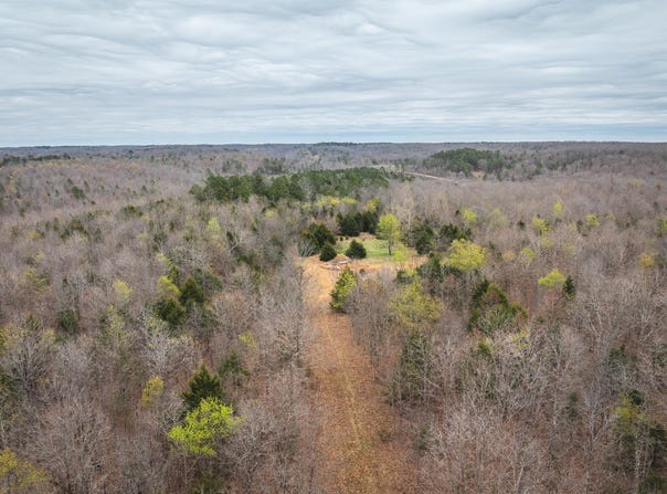 County Road 2660, Mountain View, MO 65548