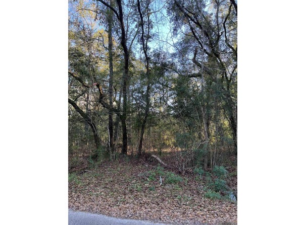 Warrior Dr, Lacombe, LA 70445