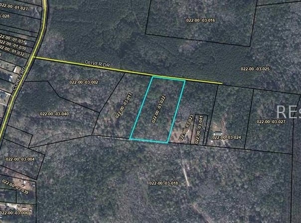 Oliver Drive, Pineland, SC 29934