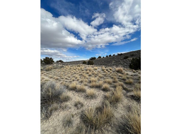 Grant Avenue, Spring Creek, NV 89815